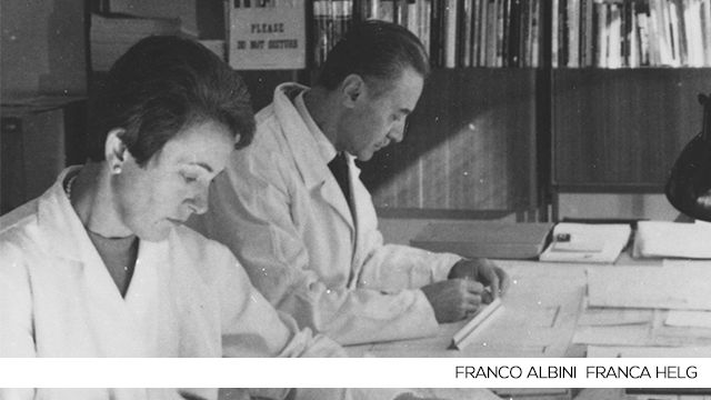 franco albini franca helg architetti